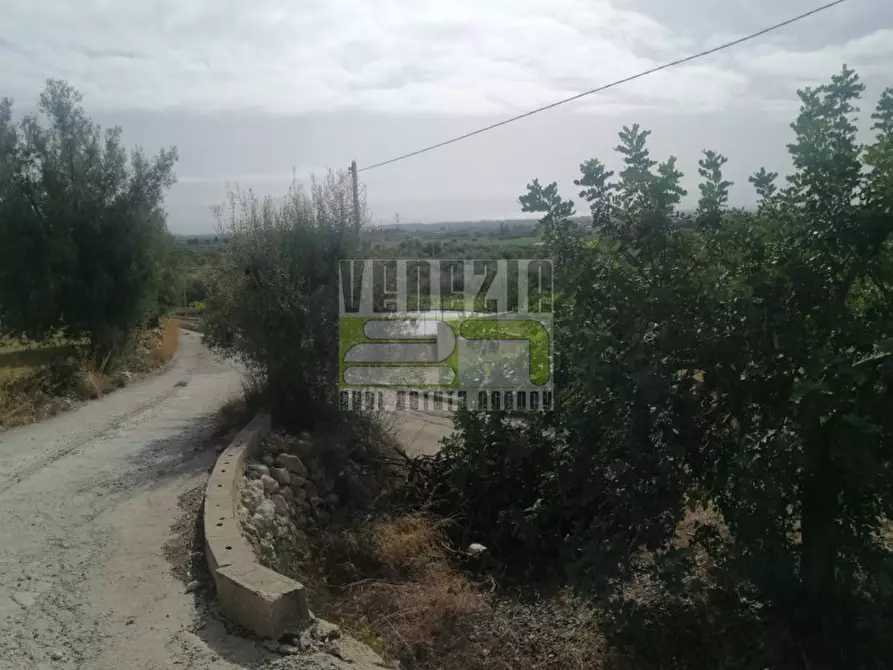 Immagine 9 di Terreno in vendita  in mammanelli a Avola