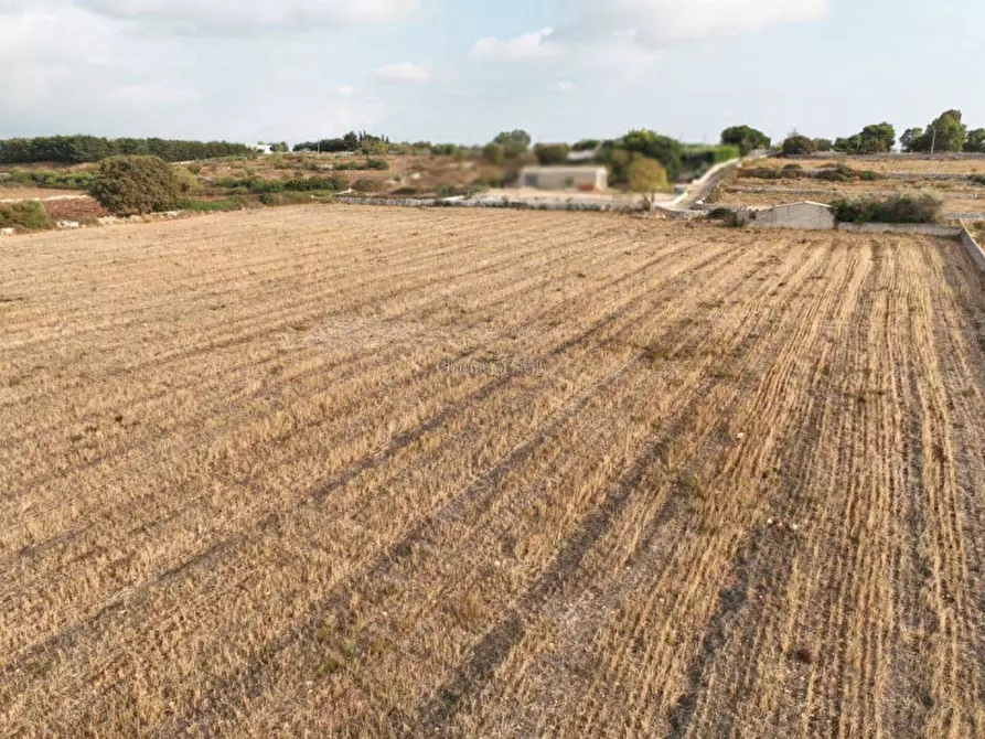 Immagine 5 di Terreno in vendita  in Contrada San Filippo a Modica