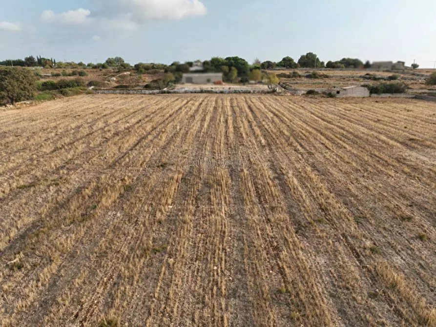 Immagine 6 di Terreno in vendita  in Contrada San Filippo a Modica