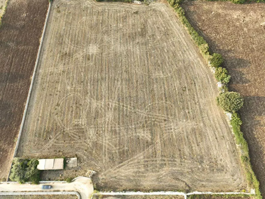 Immagine 8 di Terreno in vendita  in Contrada San Filippo a Modica