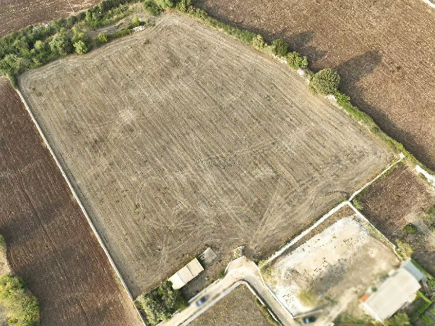 Immagine 10 di Terreno in vendita  in Contrada San Filippo a Modica