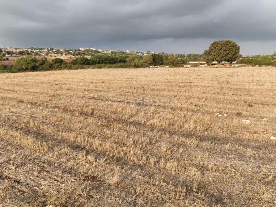 Immagine 15 di Terreno in vendita  in Contrada San Filippo a Modica