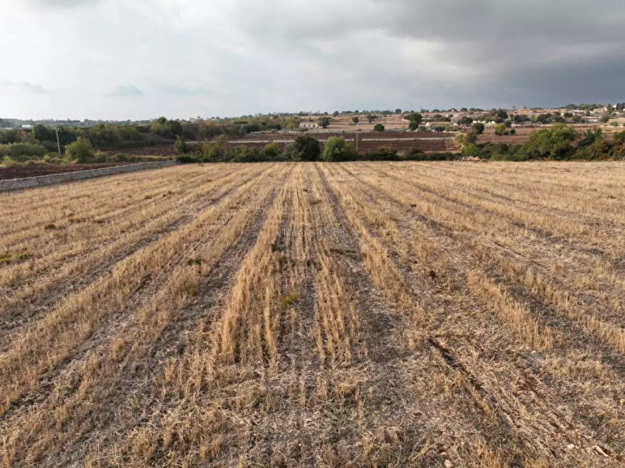 Immagine 17 di Terreno in vendita  in Contrada San Filippo a Modica
