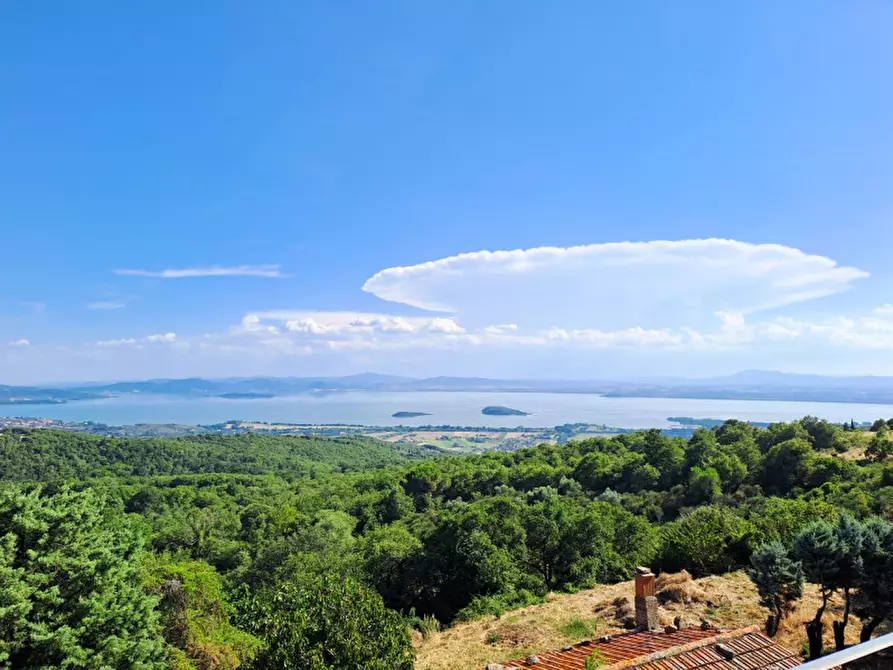 Immagine 10 di Villetta a schiera in vendita  a Lisciano Niccone