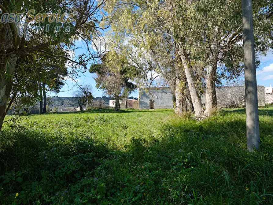 Immagine 2 di Casa indipendente in vendita  in Via Colonnello de Giovanni a Specchia