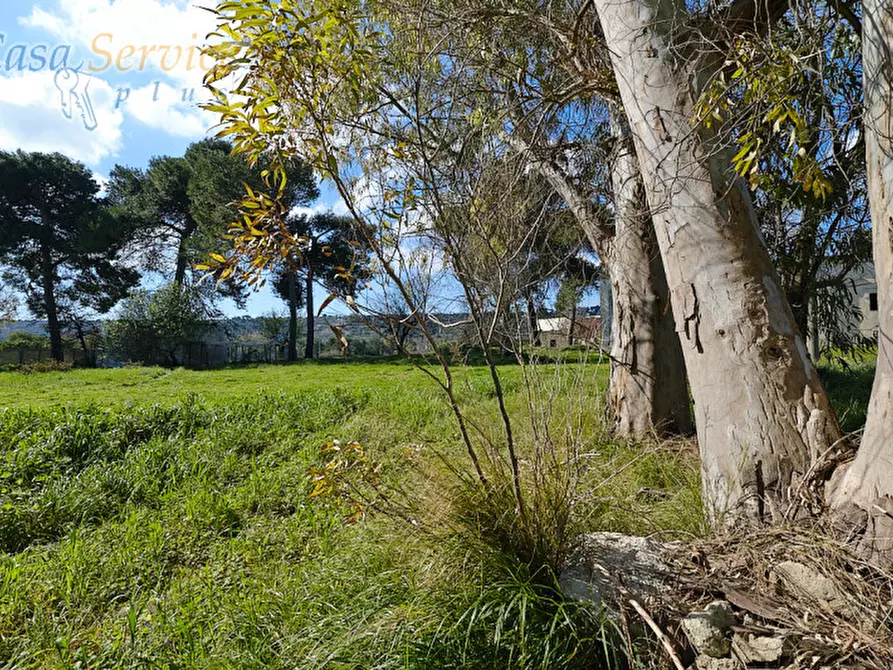Immagine 6 di Casa indipendente in vendita  in Via Colonnello de Giovanni a Specchia