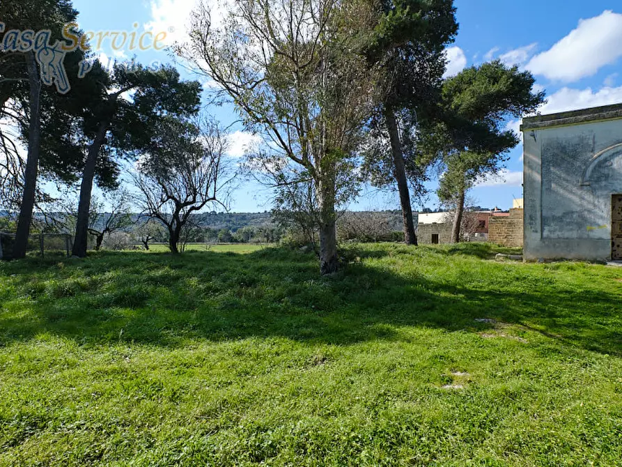 Immagine 9 di Casa indipendente in vendita  in Via Colonnello de Giovanni a Specchia