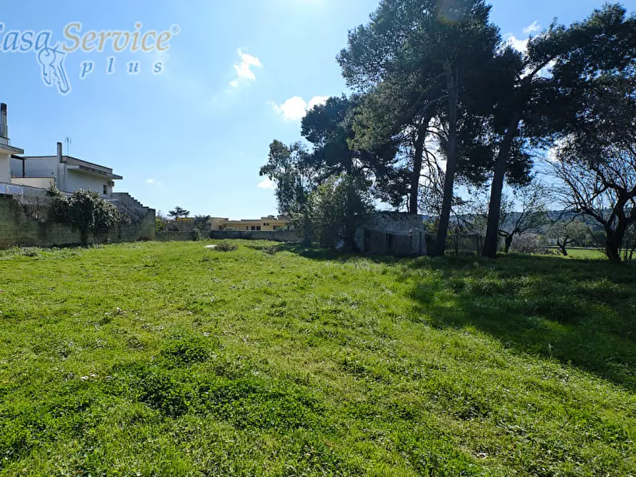 Immagine 10 di Casa indipendente in vendita  in Via Colonnello de Giovanni a Specchia
