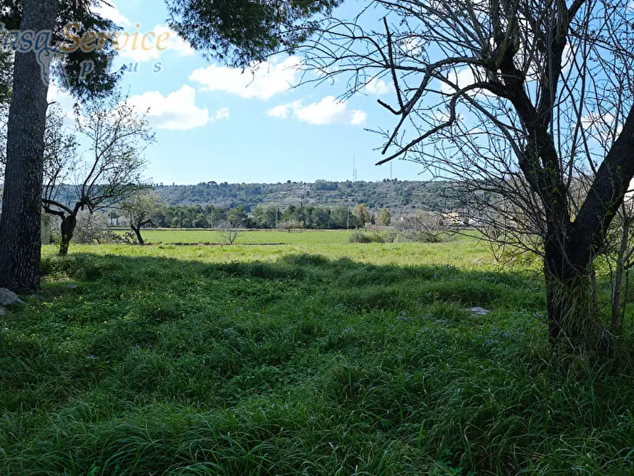 Immagine 11 di Casa indipendente in vendita  in Via Colonnello de Giovanni a Specchia