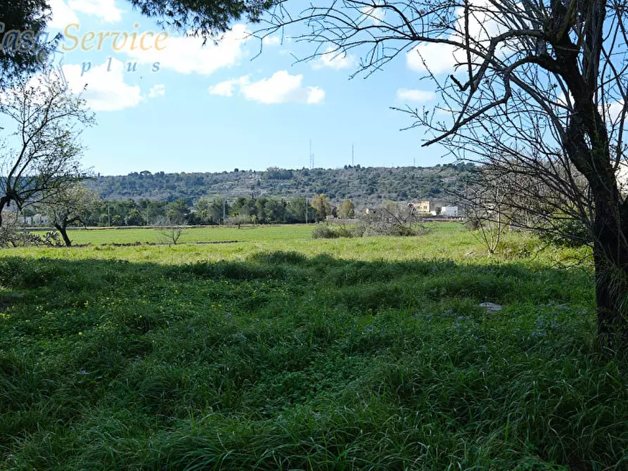 Immagine 12 di Casa indipendente in vendita  in Via Colonnello de Giovanni a Specchia