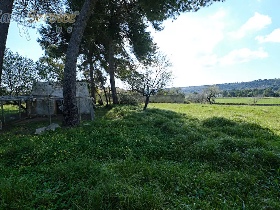 Immagine 14 di Casa indipendente in vendita  in Via Colonnello de Giovanni a Specchia