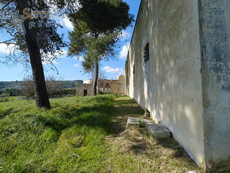 Immagine 15 di Casa indipendente in vendita  in Via Colonnello de Giovanni a Specchia