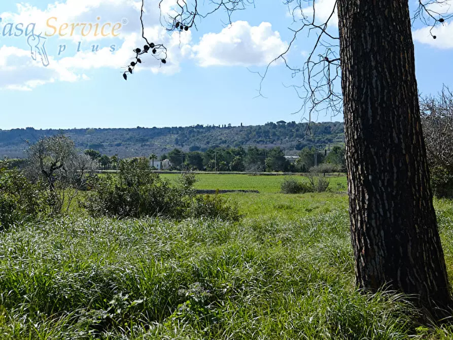 Immagine 16 di Casa indipendente in vendita  in Via Colonnello de Giovanni a Specchia