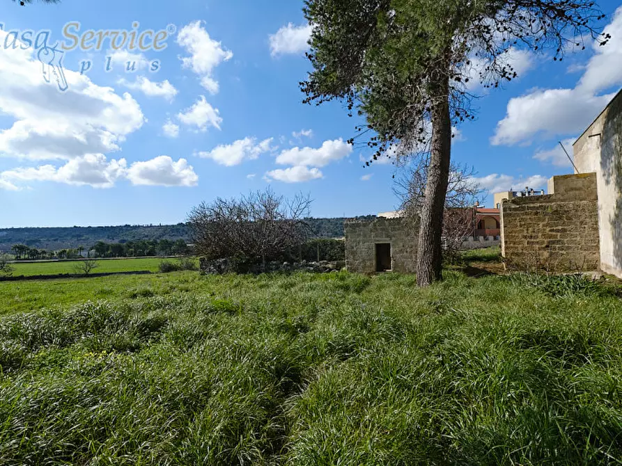 Immagine 17 di Casa indipendente in vendita  in Via Colonnello de Giovanni a Specchia