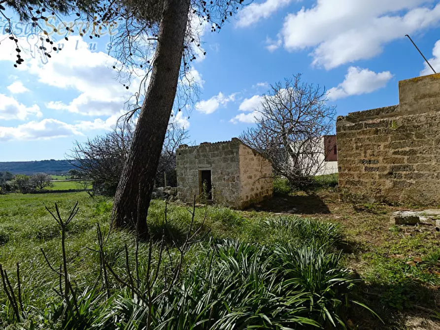 Immagine 18 di Casa indipendente in vendita  in Via Colonnello de Giovanni a Specchia