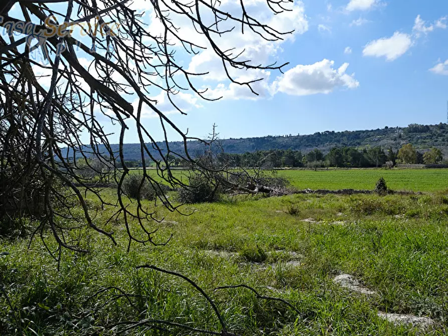 Immagine 19 di Casa indipendente in vendita  in Via Colonnello de Giovanni a Specchia
