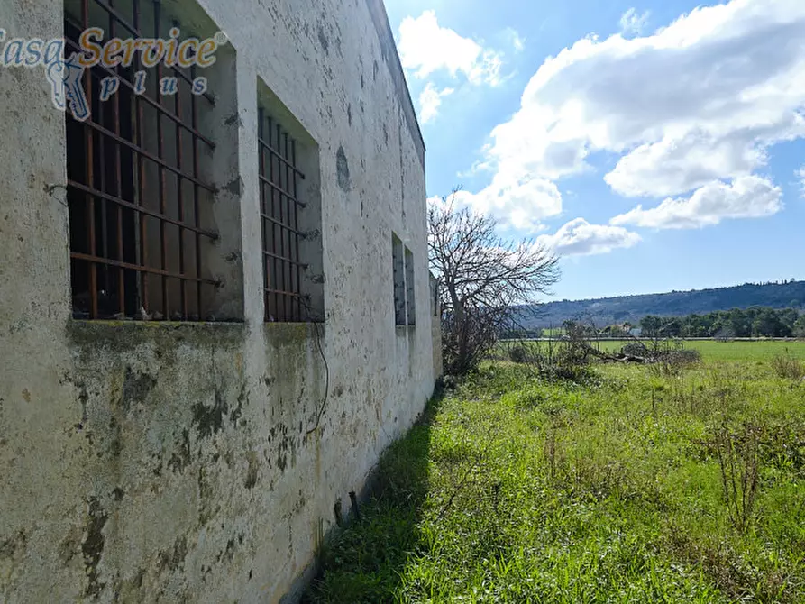 Immagine 22 di Casa indipendente in vendita  in Via Colonnello de Giovanni a Specchia
