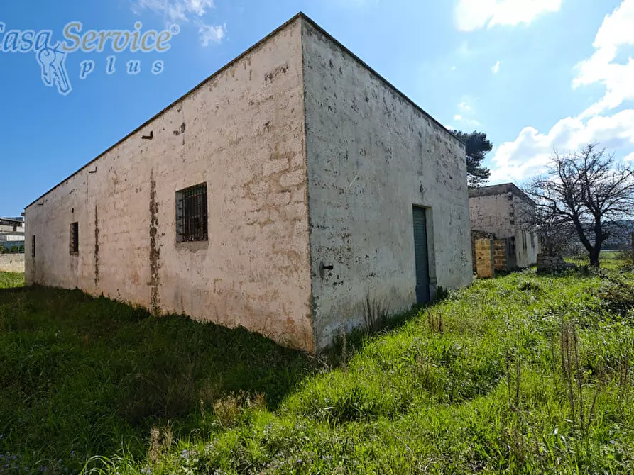 Immagine 27 di Casa indipendente in vendita  in Via Colonnello de Giovanni a Specchia