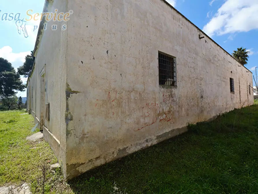 Immagine 29 di Casa indipendente in vendita  in Via Colonnello de Giovanni a Specchia
