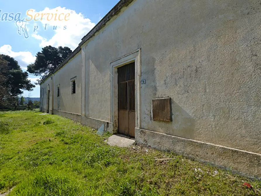 Immagine 31 di Casa indipendente in vendita  in Via Colonnello de Giovanni a Specchia
