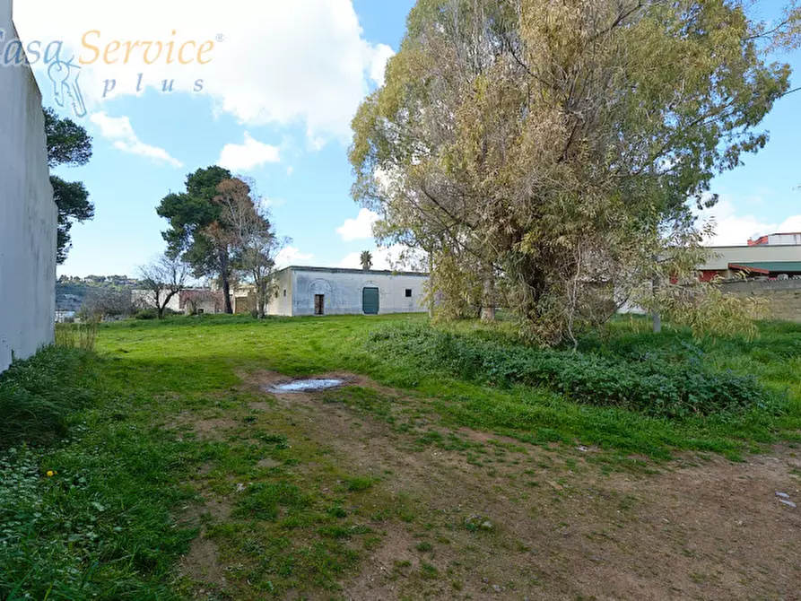 Immagine 61 di Casa indipendente in vendita  in Via Colonnello de Giovanni a Specchia