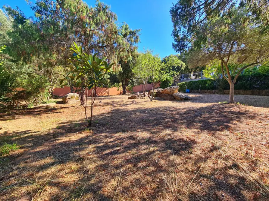 Immagine 14 di Appartamento in vendita  in via don minzoni a Olbia