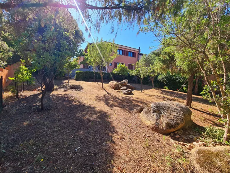 Immagine 15 di Appartamento in vendita  in via don minzoni a Olbia