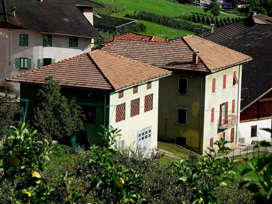 Immagine 4 di Casa indipendente in vendita  in VIA DELLE FASSE a Borgo D'anaunia