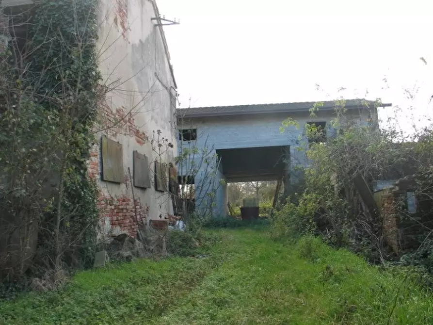 Immagine 1 di Rustico / casale in vendita  a Borgoricco