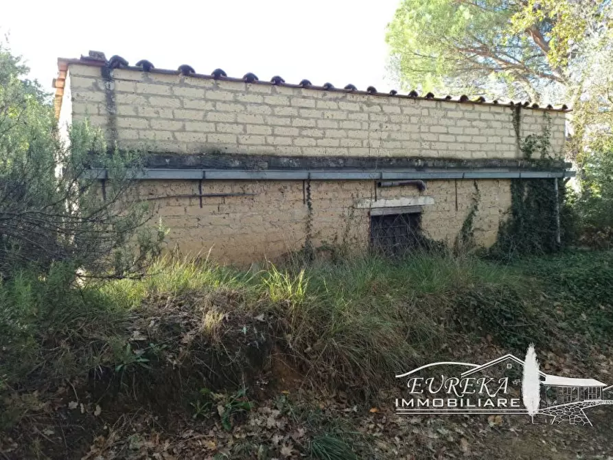 Immagine 18 di Rustico / casale in vendita  in via dei mandorli casalini a Panicale