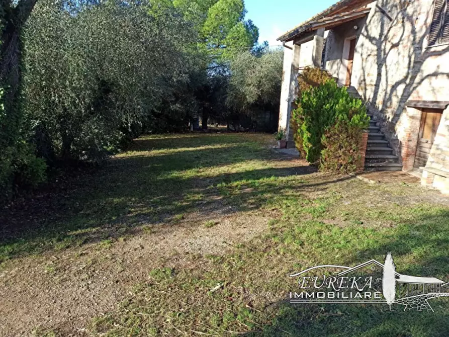 Immagine 21 di Rustico / casale in vendita  in via dei mandorli casalini a Panicale