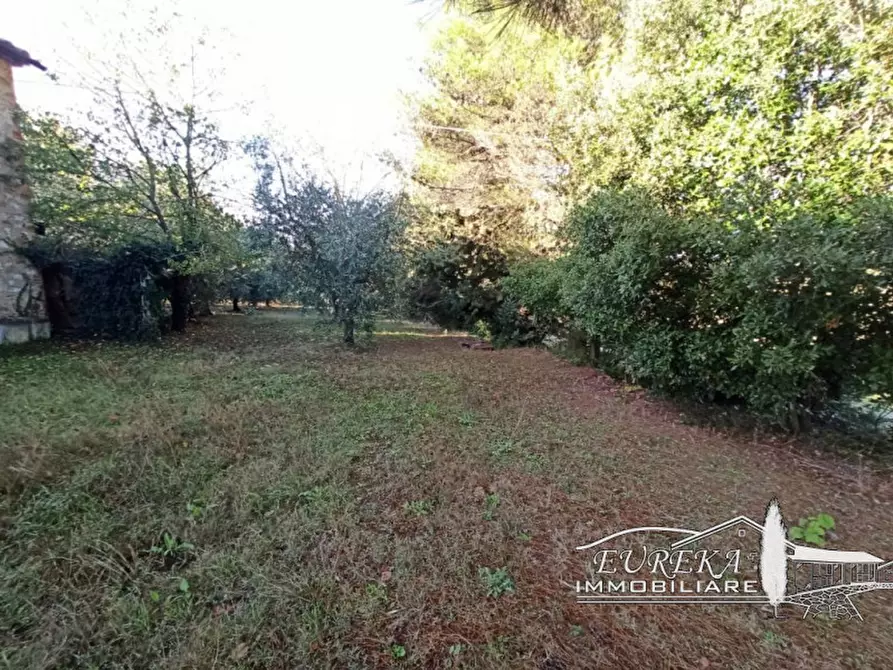 Immagine 22 di Rustico / casale in vendita  in via dei mandorli casalini a Panicale