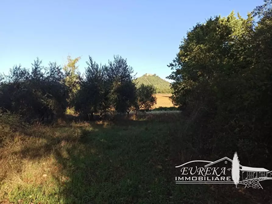Immagine 27 di Rustico / casale in vendita  in via dei mandorli casalini a Panicale