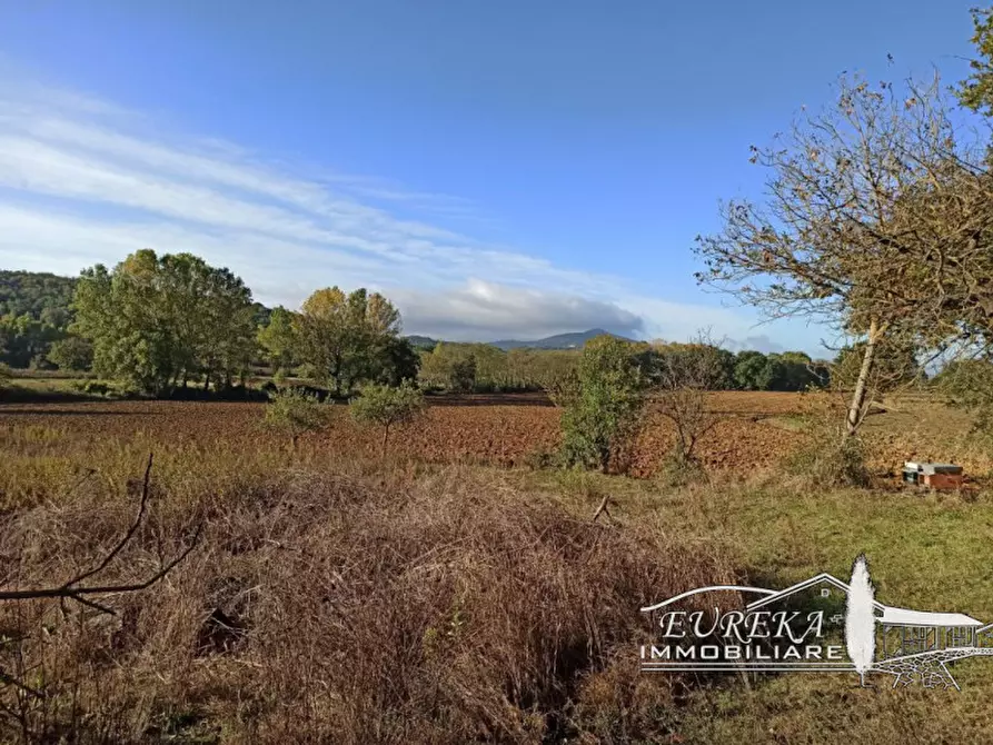 Immagine 28 di Rustico / casale in vendita  in via dei mandorli casalini a Panicale