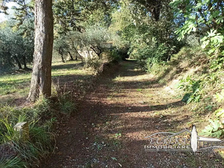 Immagine 29 di Rustico / casale in vendita  in via dei mandorli casalini a Panicale