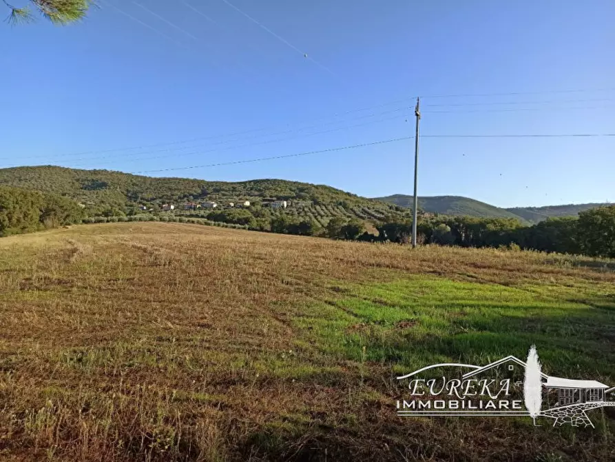 Immagine 30 di Rustico / casale in vendita  in via dei mandorli casalini a Panicale