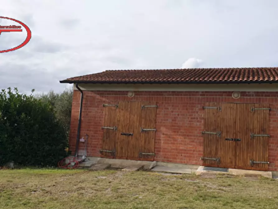 Immagine 2 di Terreno in vendita  a Montevarchi