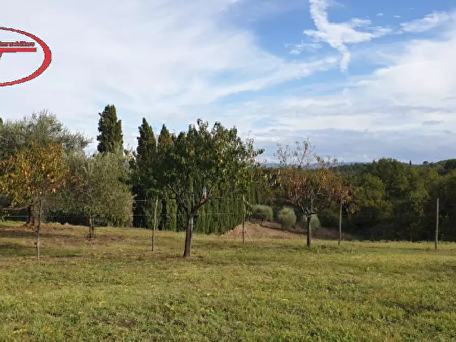 Immagine 4 di Terreno in vendita  a Montevarchi