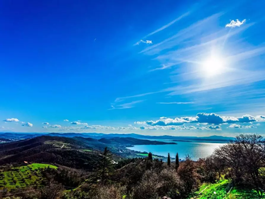Immagine 19 di Villa in vendita  a Passignano Sul Trasimeno
