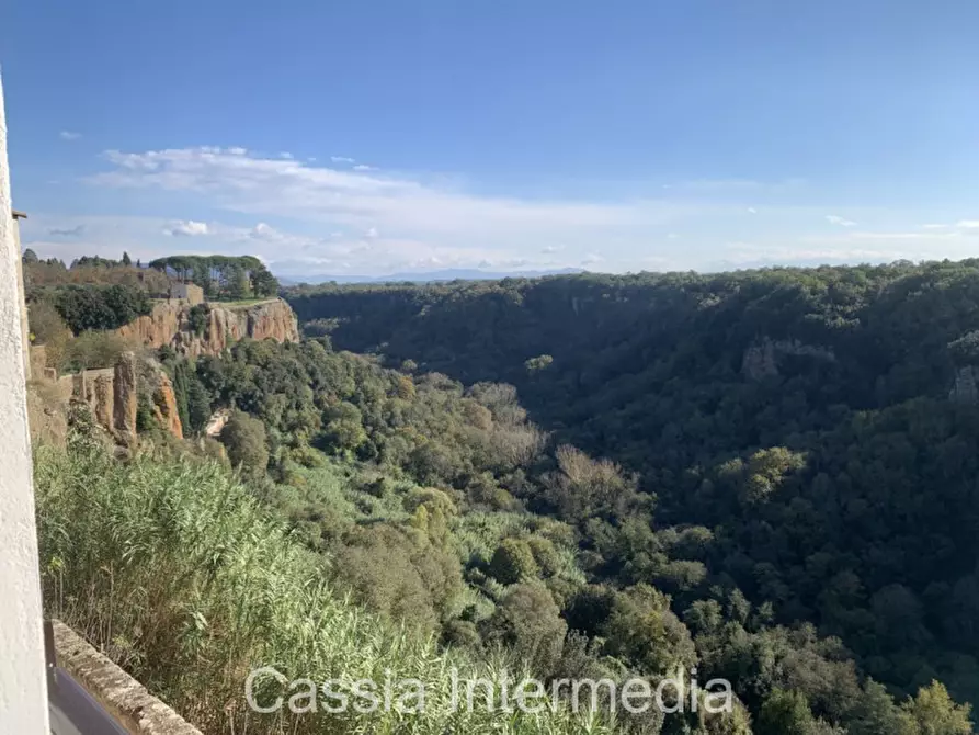 Immagine 1 di Appartamento in vendita  in Piazza Margherita a Castel Sant'elia