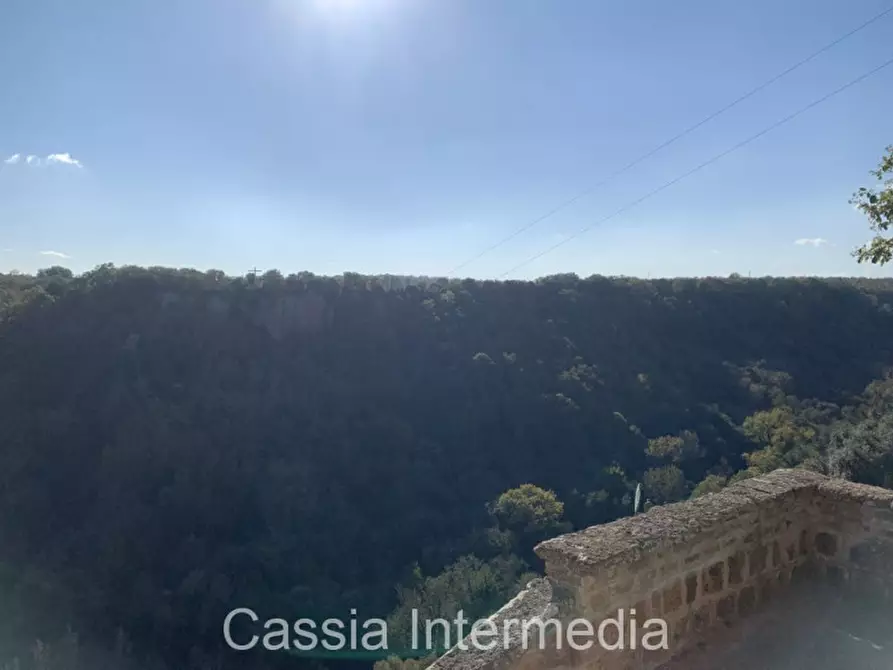 Immagine 21 di Appartamento in vendita  in Piazza Margherita a Castel Sant'elia