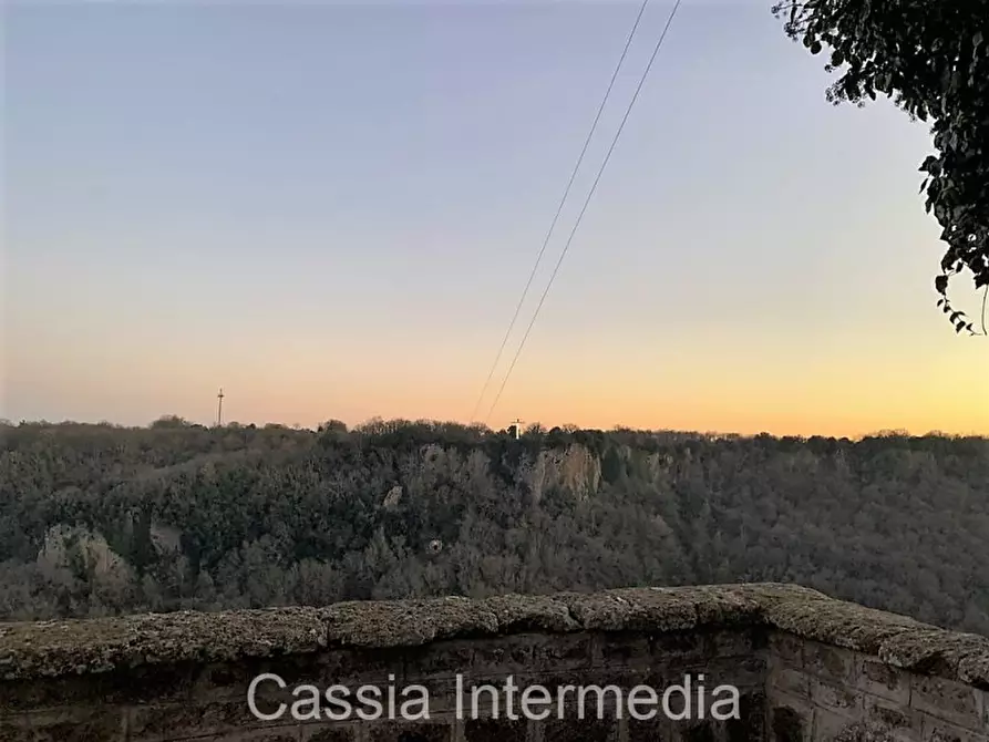 Immagine 30 di Appartamento in vendita  in Piazza Margherita a Castel Sant'elia
