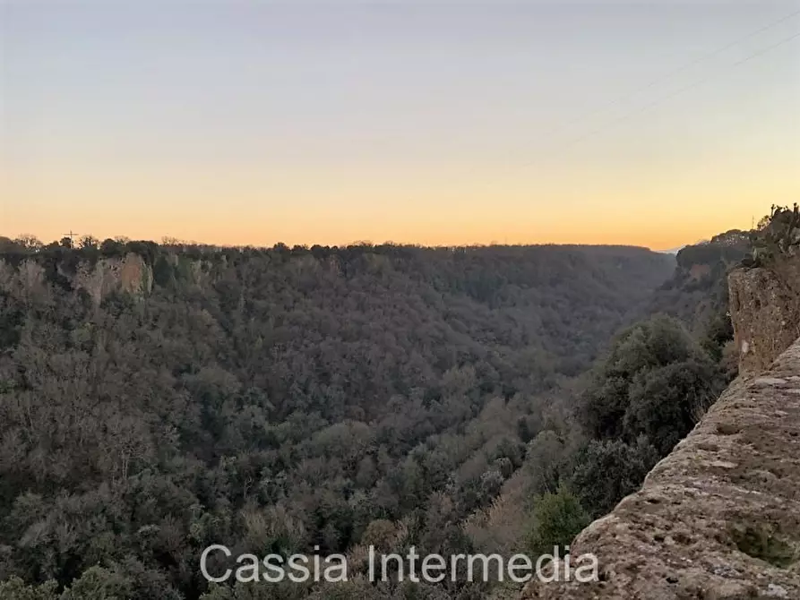 Immagine 33 di Appartamento in vendita  in Piazza Margherita a Castel Sant'elia