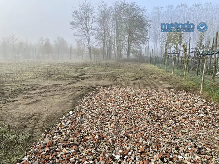 Immagine 4 di Terreno in vendita  a San Martino Di Venezze