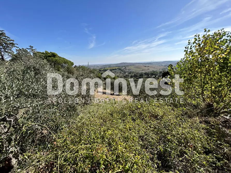 Immagine 2 di Villa in vendita  in Via Muratella a Capalbio