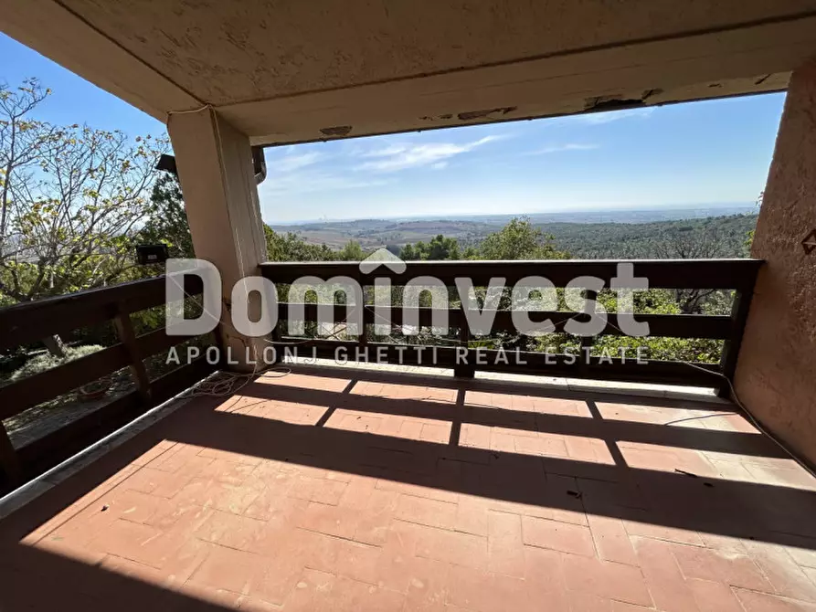 Immagine 20 di Villa in vendita  in Via Muratella a Capalbio