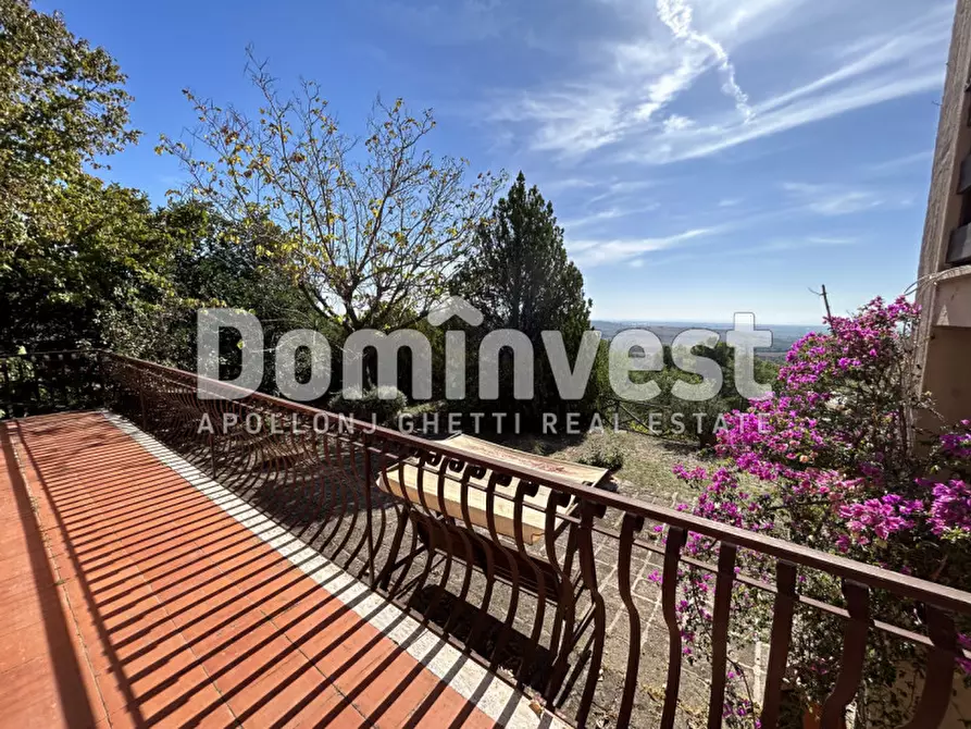 Immagine 29 di Villa in vendita  in Via Muratella a Capalbio