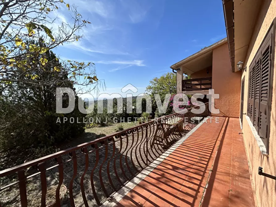 Immagine 30 di Villa in vendita  in Via Muratella a Capalbio