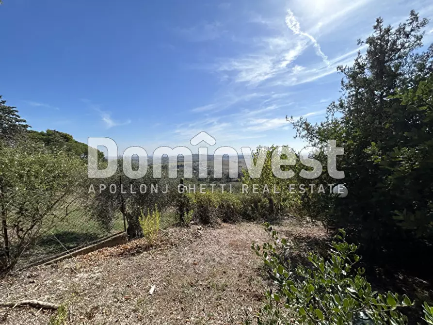 Immagine 31 di Villa in vendita  in Via Muratella a Capalbio