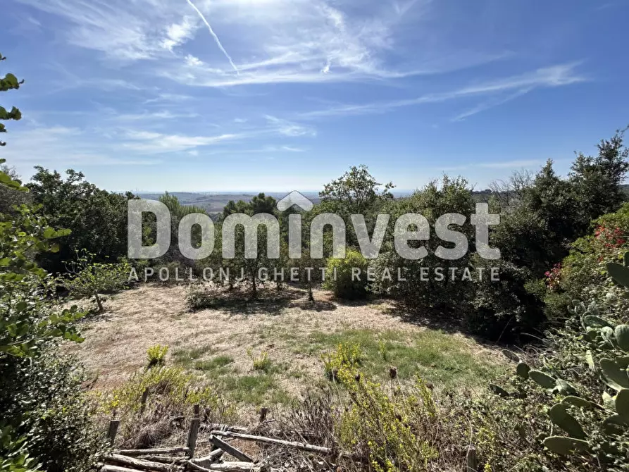 Immagine 36 di Villa in vendita  in Via Muratella a Capalbio